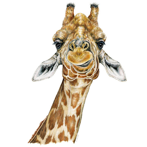 Giraffe Face Limited-Edition Print