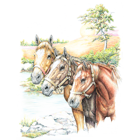 Three Horses Wildlife T-shirt
