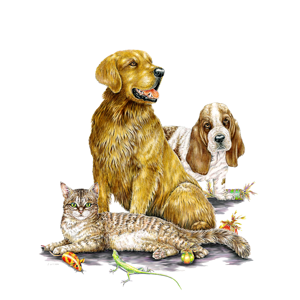 Two Dogs & a Cat Sweatshirt