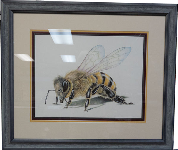 Honey Bee Framed Original Drawing