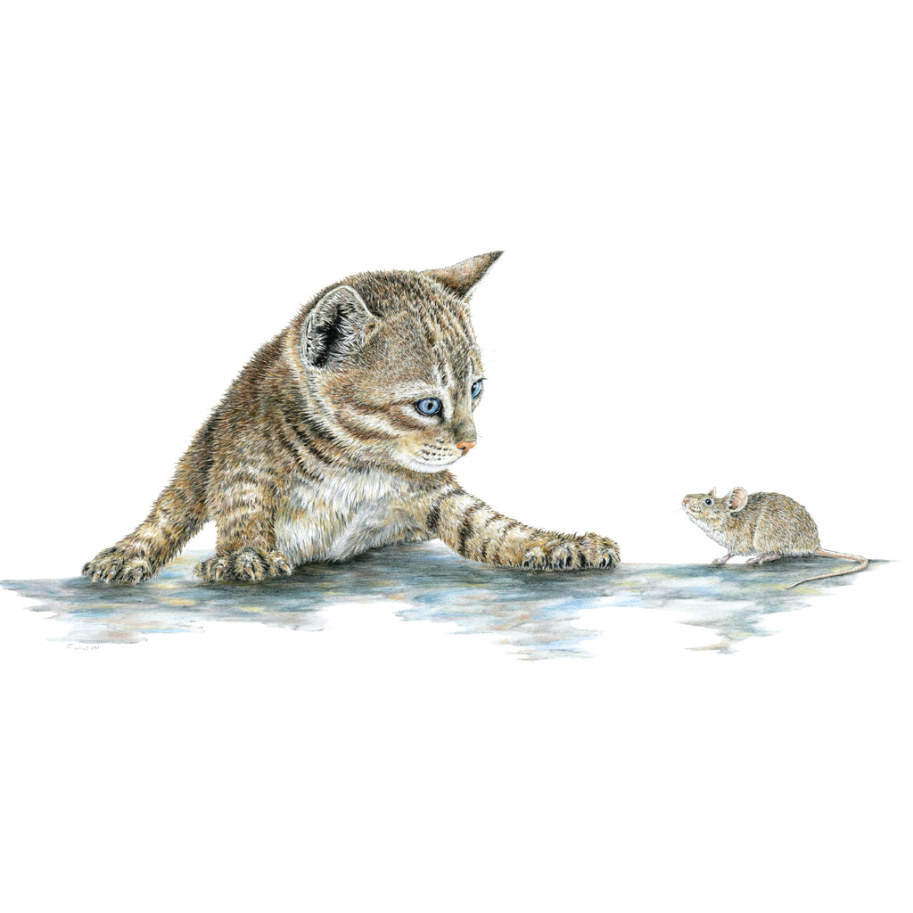 Kitten with Mouse two- Limited Edition Print