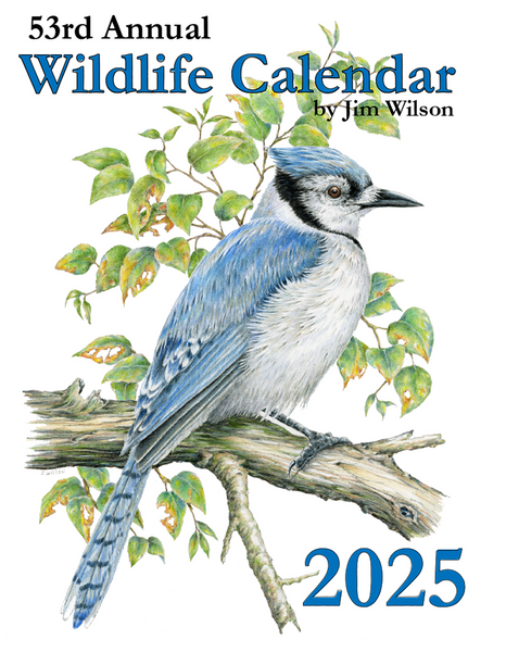 Wildlife Calendars