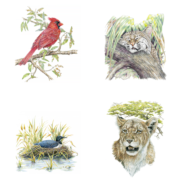 2026 Wildlife Calendar