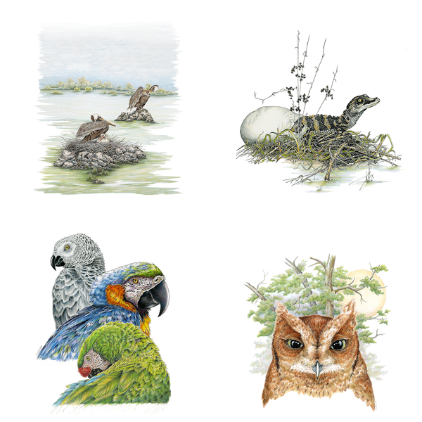 2026 Wildlife Calendar