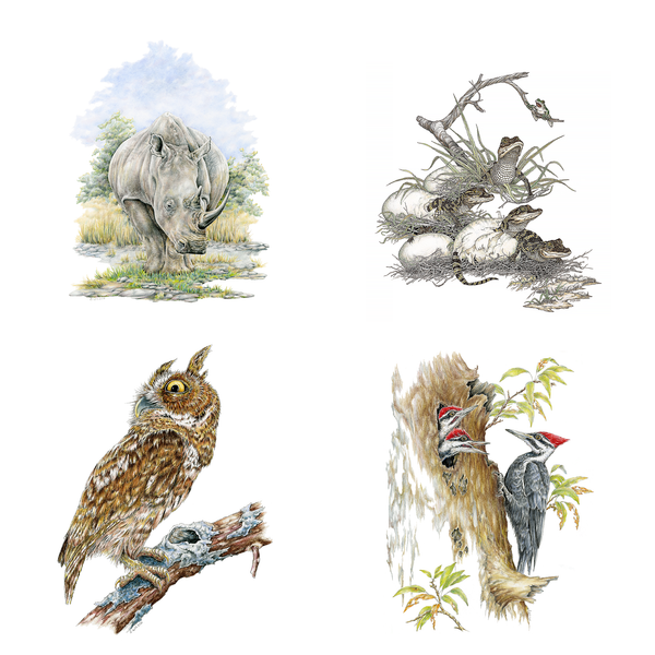 2026 Wildlife Calendar