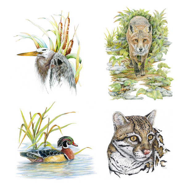 2024 Wildlife Calendar