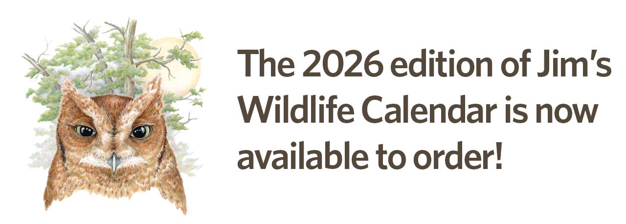 Wildlife Drawings by Jim Wilson