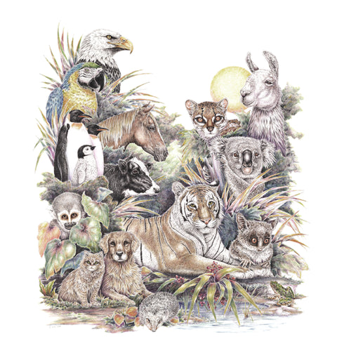 * Animal Grouping Sweatshirt
