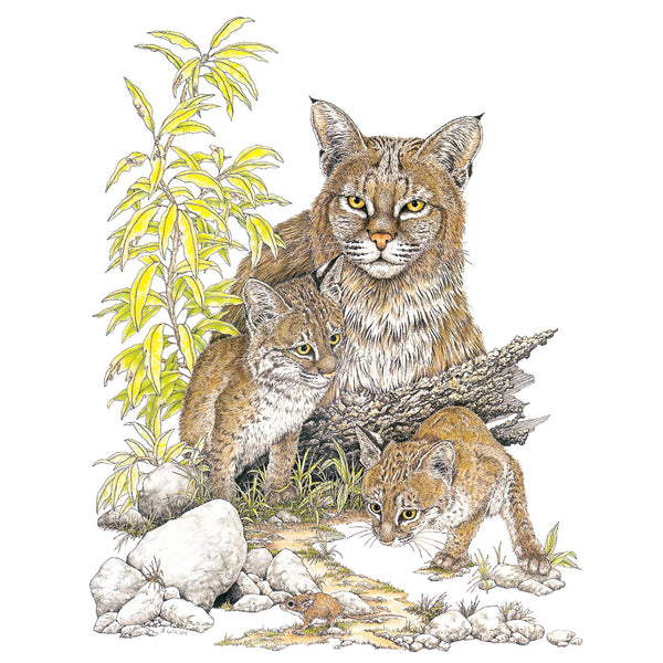 Bobcats Wildlife T-shirt