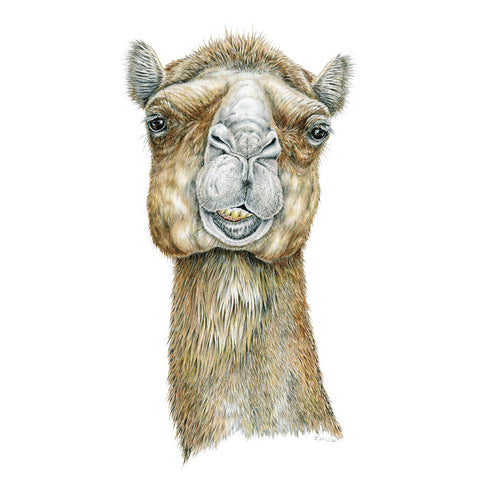 Camel Face Limited-Edition Print