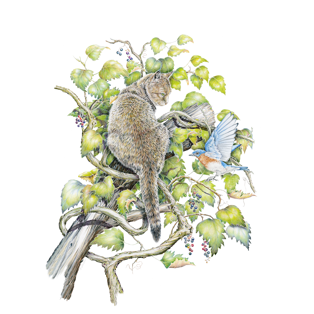 Cat and Bluebird Limited-Edition Print