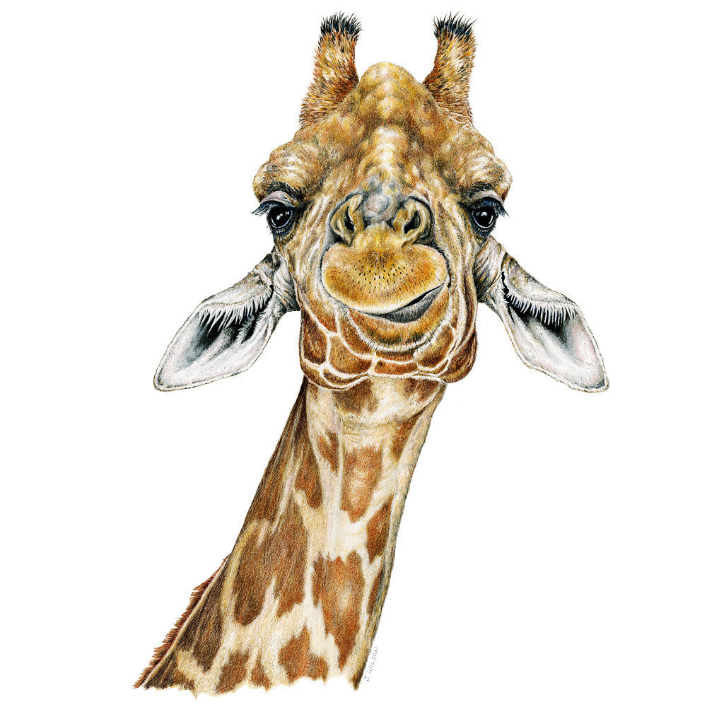 Giraffe - Framed Original Drawing