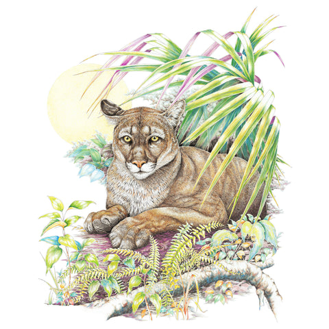Panther Wildlife T-shirt