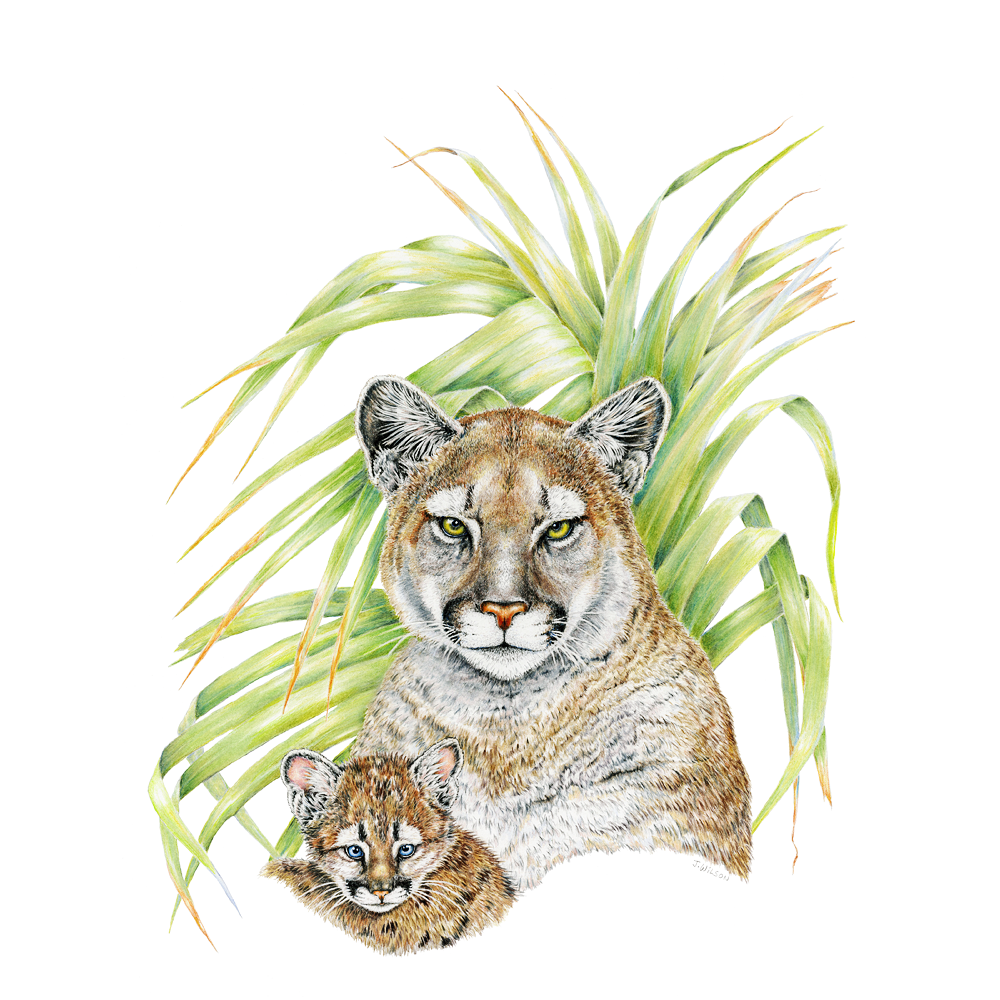 Panther with Cub Limited-Edition Print