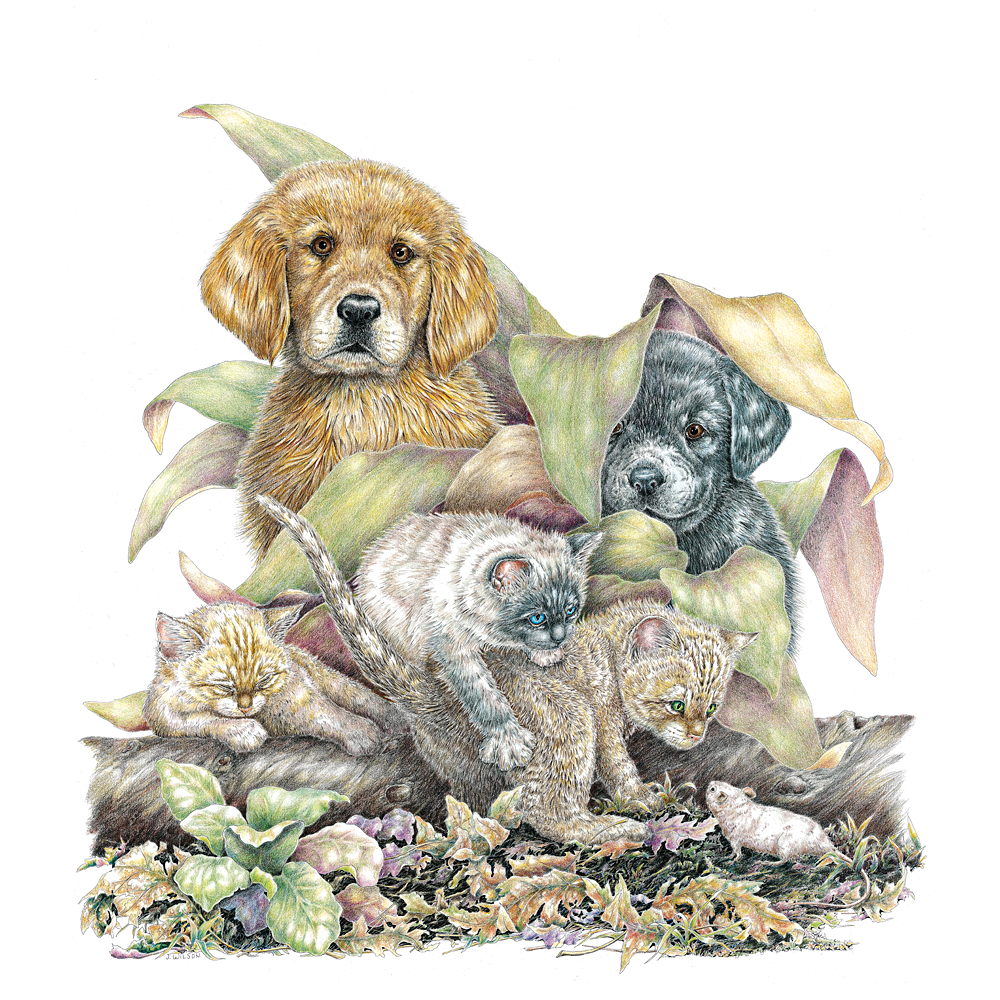 Puppies and Kittens Limited-Edition Print