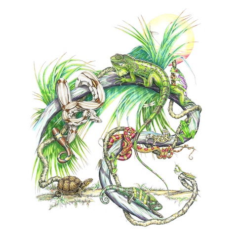 Reptiles and Amphibians Limited-Edition Print
