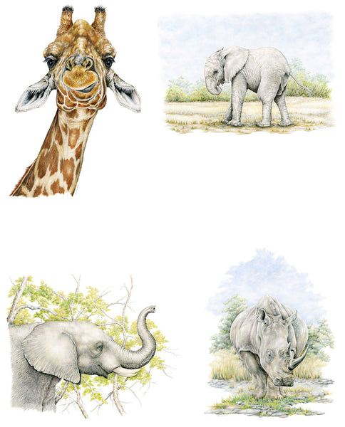 Wildlife Notecards, four-pack