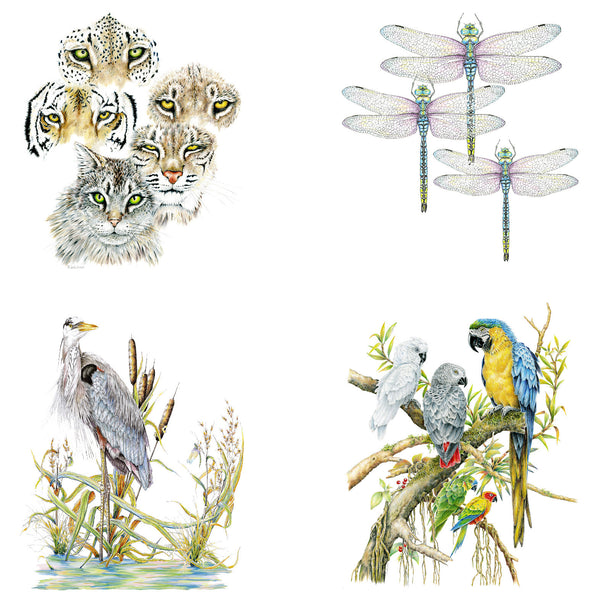 Wildlife Notecards, four-pack