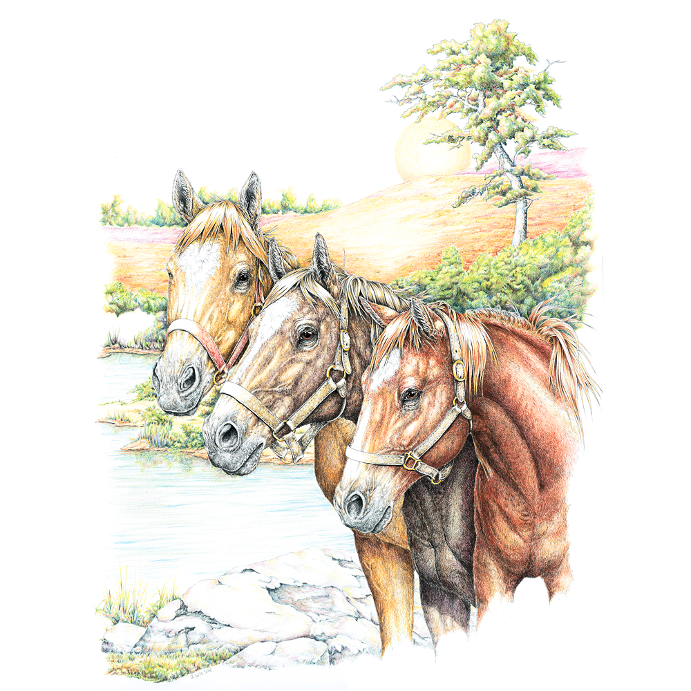 Three Horses Sweatshirt Wildlife Drawings by Jim Wilson