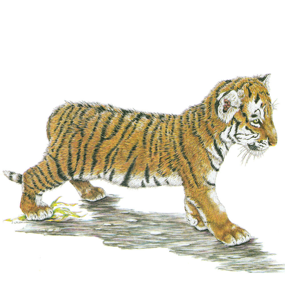 Tiger Cub Limited-Edition Print