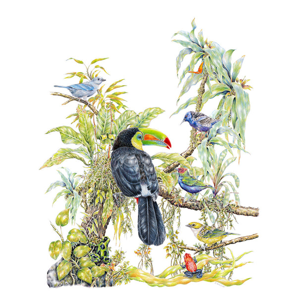 Tropical Birds Wildlife T-shirt