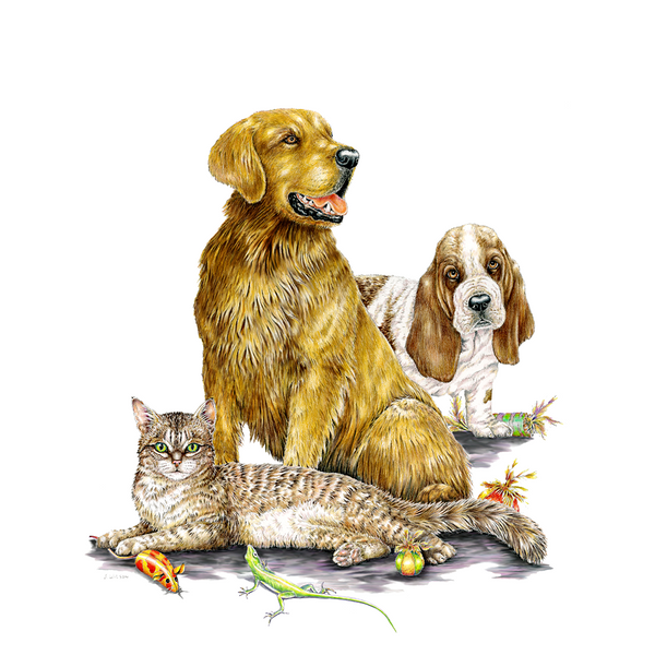 Two Dogs & a Cat Wildlife T-shirt