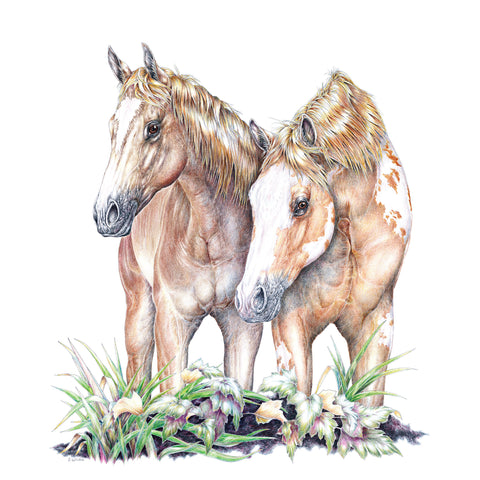 Two Horses Wildlife T-shirt