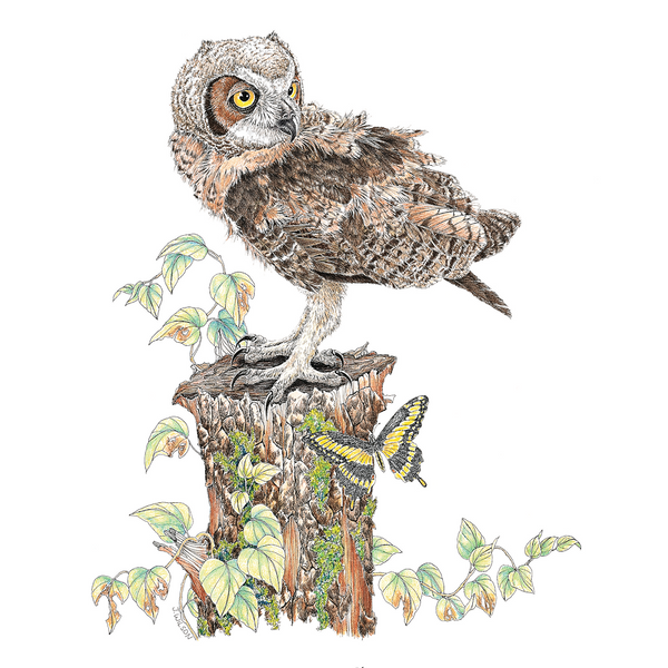 Horned Owl Wildlife T-shirt