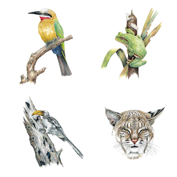 2023 Wildlife Calendar
