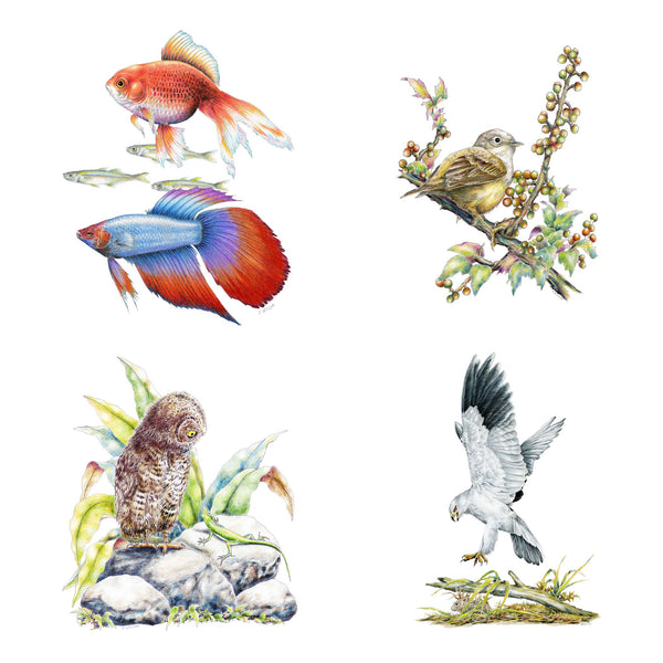 2023 Wildlife Calendar