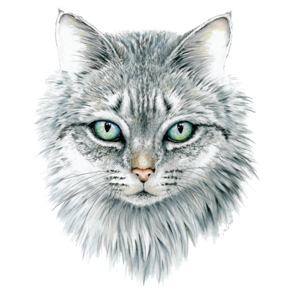 Cat Face Wildlife Art Cloth Face Mask
