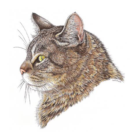 Cat Profile Wildlife Art Cloth Face Mask