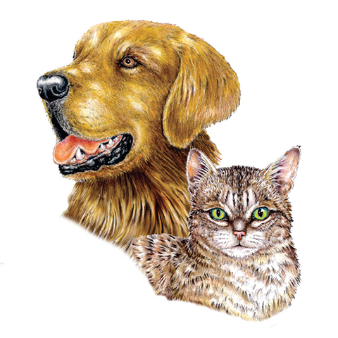 Dog & Cat Wildlife Art Cloth Face Mask