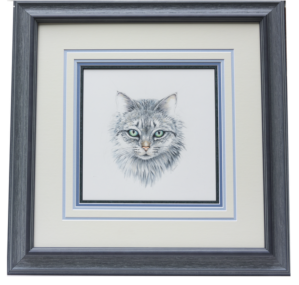 Domestic Cat Face - Framed Original Drawing
