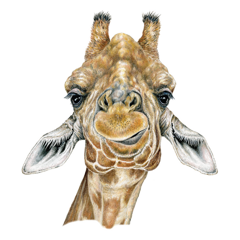 Giraffe Wildlife Art Cloth Face Mask