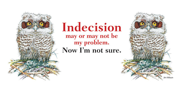 Owl "Indecision" Mug