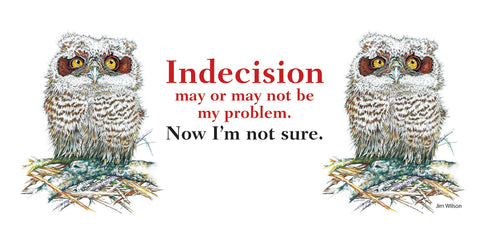 Owl "Indecision" Mug