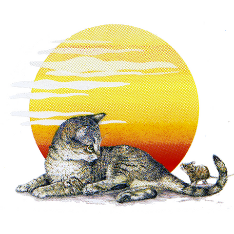 Kitten & Moon Wildlife Art Cloth Face Mask