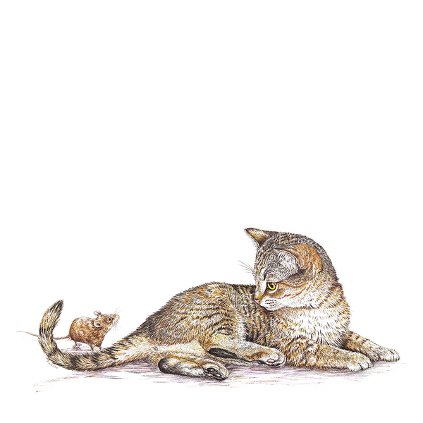 Kitten With Mouse Wildlife Art Cloth Face Mask
