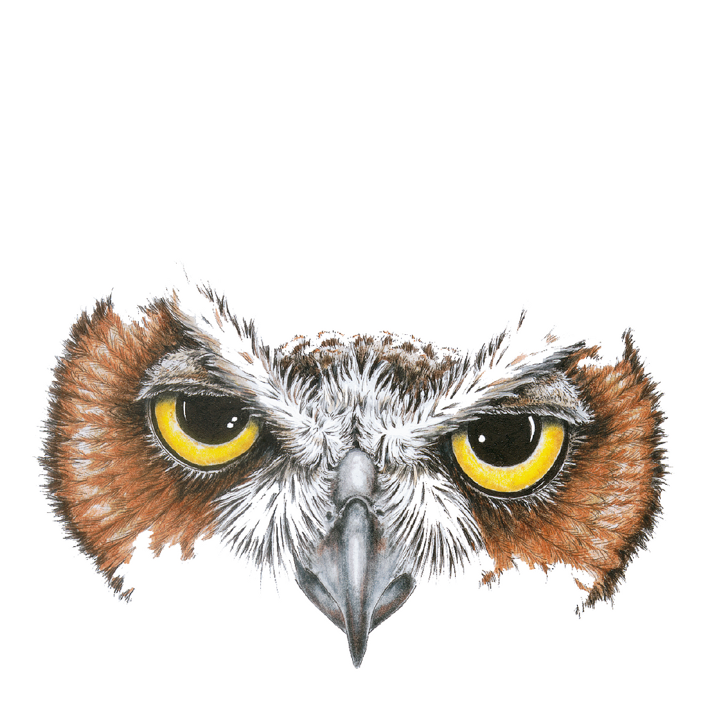 Owl Eyes Wildlife Art Cloth Face Mask