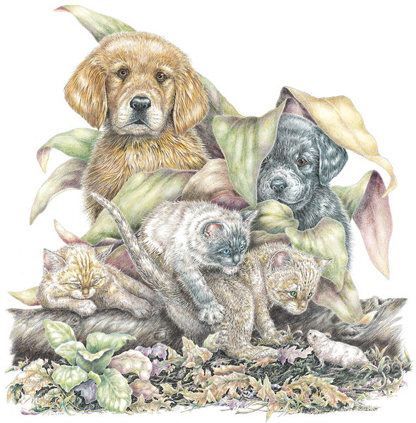 Puppies and Kittens Wildlife T-shirt
