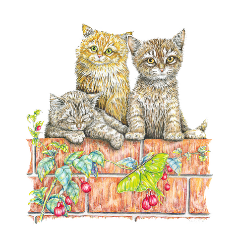 Three Kittens Wildlife Art Cloth Face Mask