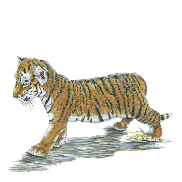 Tiger Cub Wildlife Art Cloth Face Mask