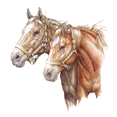 Two Horses Wildlife Art Cloth Face Mask